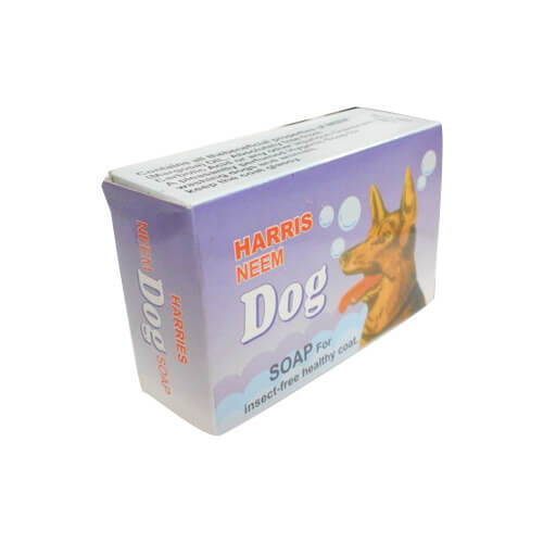 Dog Soap Boxes